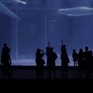 男女性成交大片免费看
