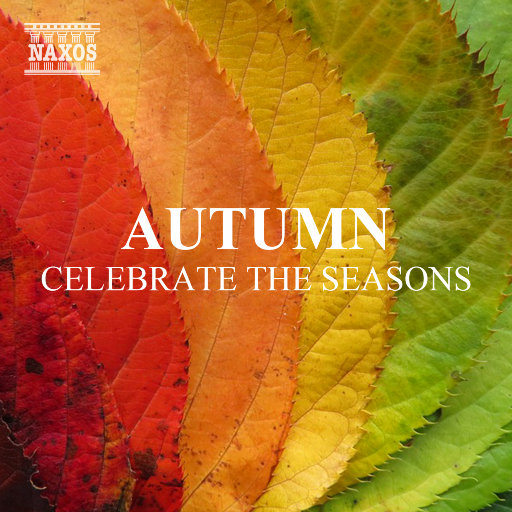 男女性成交大片免费看
